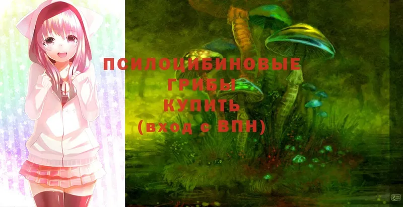 Псилоцибиновые грибы Psilocybine cubensis  Краснослободск 